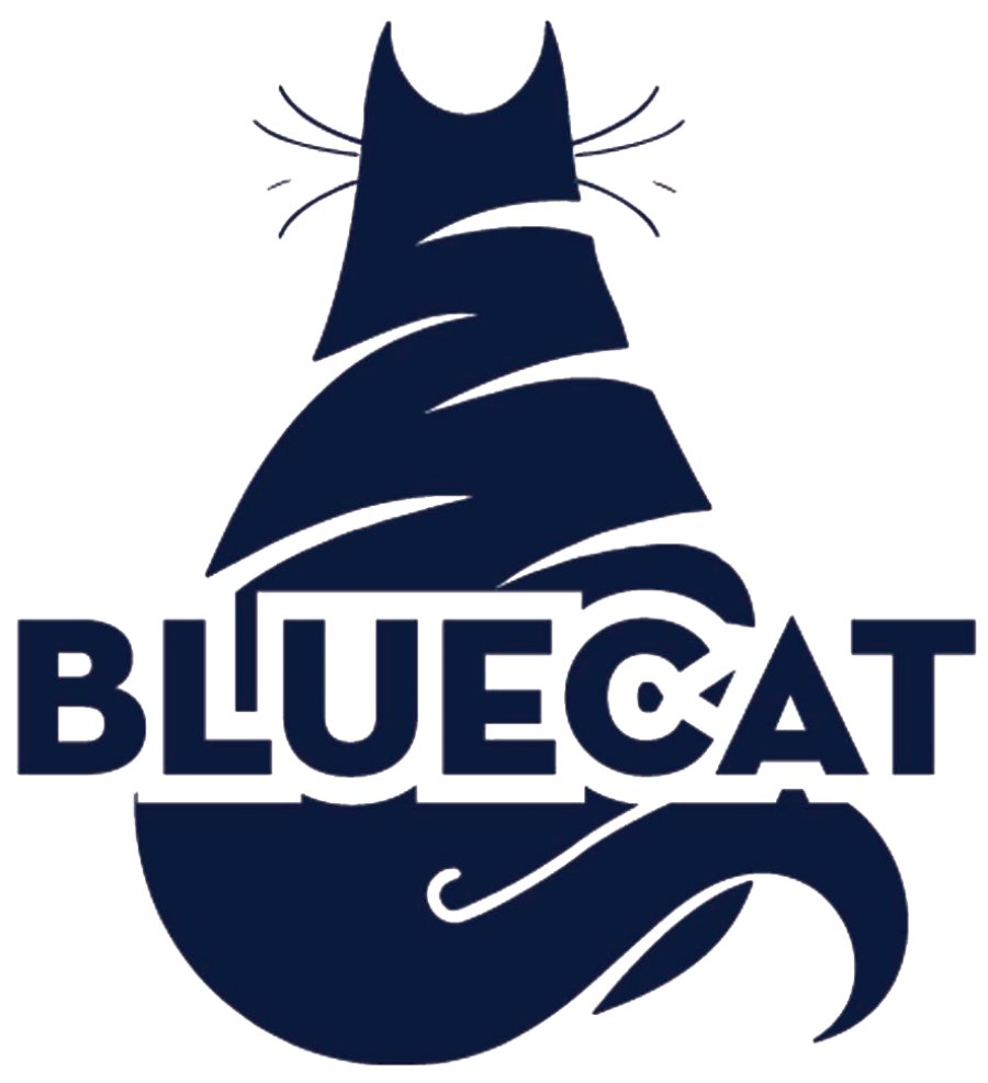 bluecat ajans